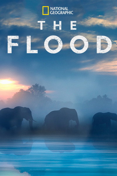 Póster de La inundación del Okavango