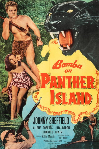 Póster de La isla de la pantera