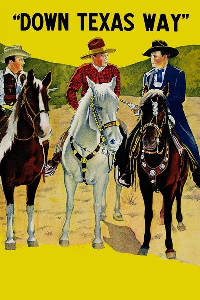 Póster de La ley del norte