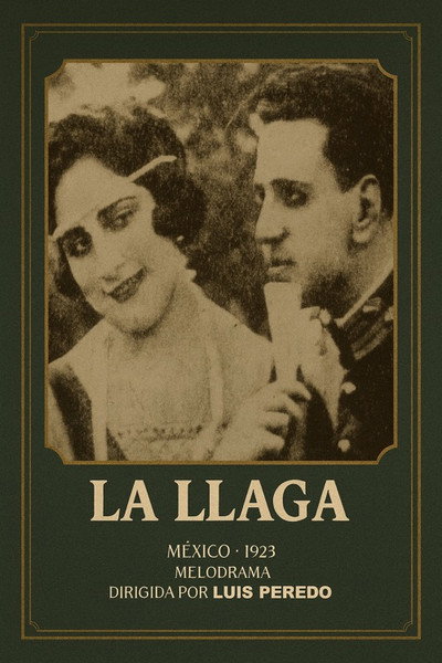 Póster de La llaga