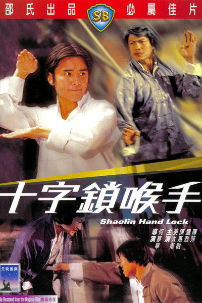 Póster de La llave de Shaolin