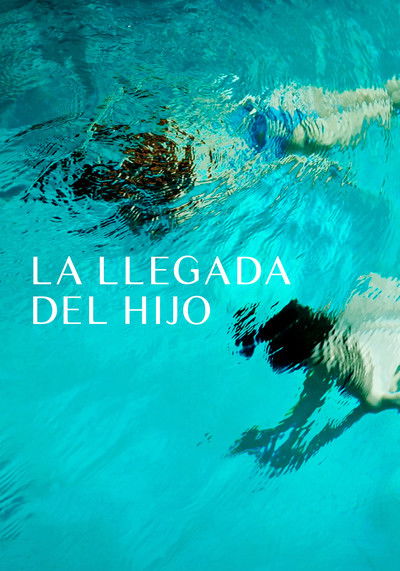 Póster de La llegada del hijo