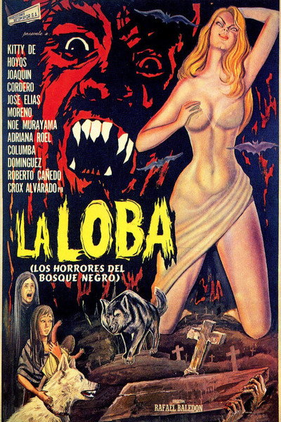 Póster de La loba