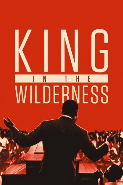 Póster de La lucha pacífica de Martin Luther King