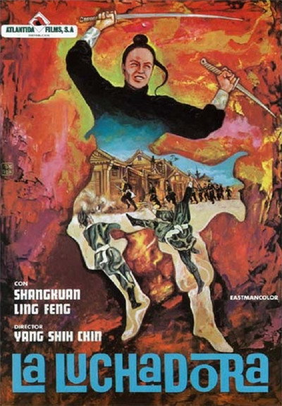 Póster de La luchadora