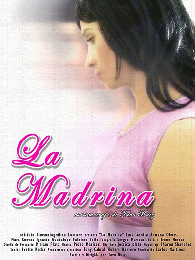 Póster de La madrina