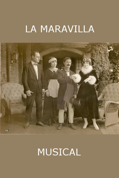 Póster de La maravilla musical