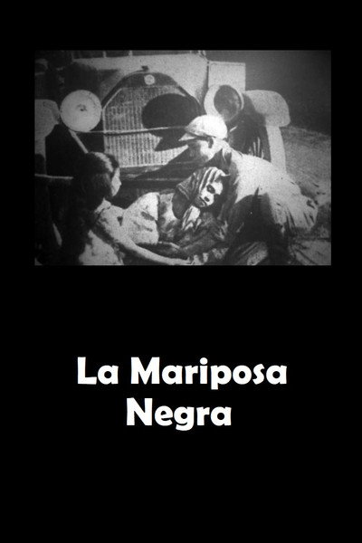 Póster de La Mariposa negra