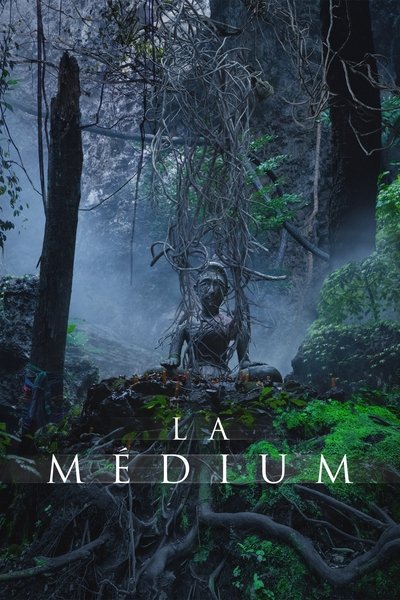Póster de La medium