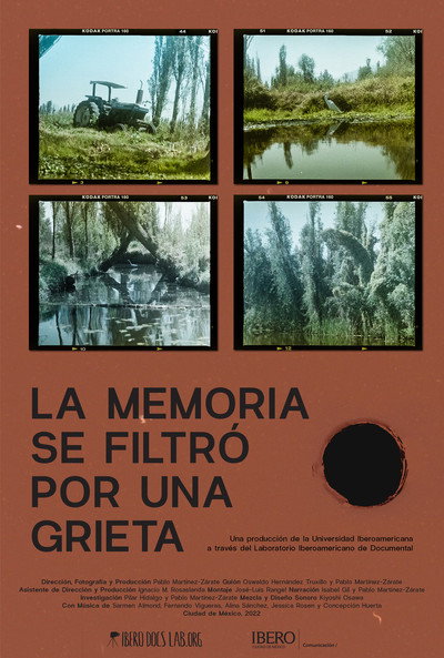 Póster de La memoria se filtró por una grieta