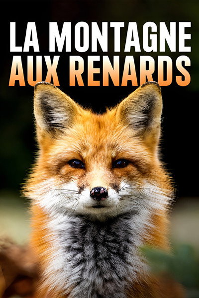 Póster de La montagne aux renards