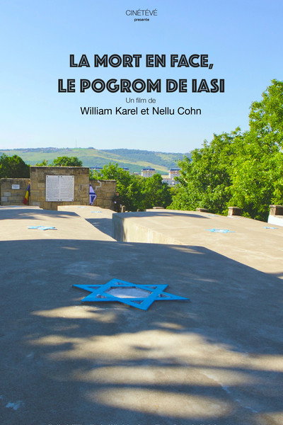 Póster de La mort en face, le pogrom de Iasi