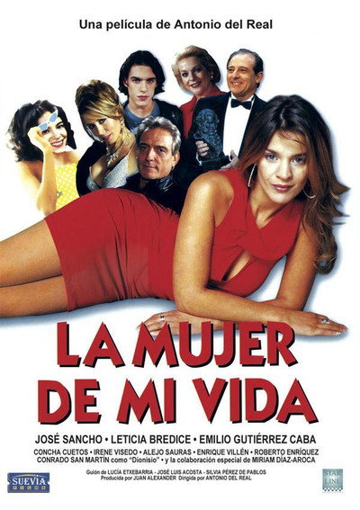 Póster de La mujer de mi vida