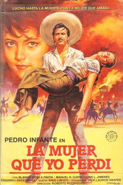 Póster de La mujer que yo perdí