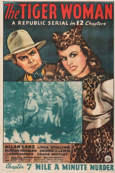 Póster de La mujer tigre