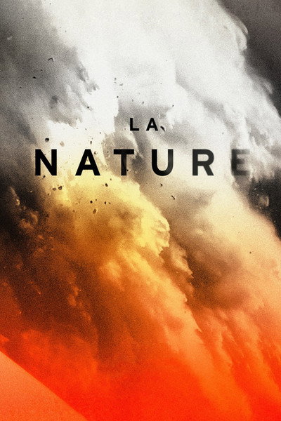 Póster de La nature
