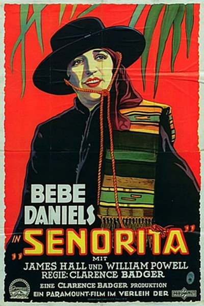 Póster de La nieta del 'Zorro'