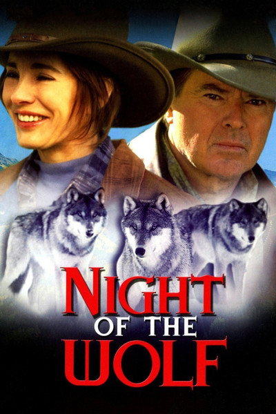 Póster de La noche del lobo