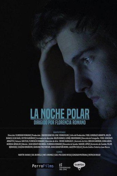 Póster de La noche polar