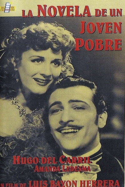 Póster de La novela de un joven pobre