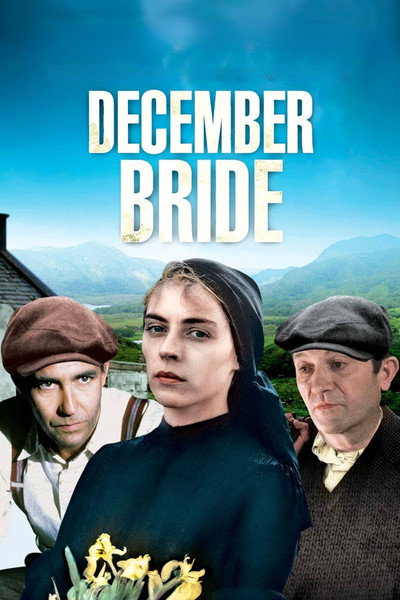 Póster de La novia de diciembre