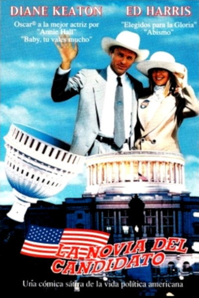 Póster de La novia del candidato