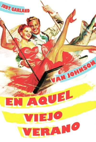 Póster de La novia incógnita