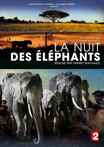 Póster de La nuit des éléphants