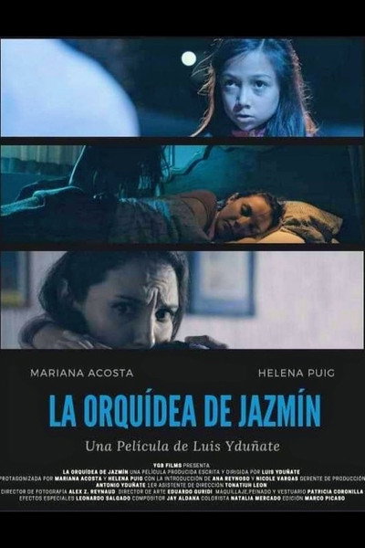Póster de La Orquídea de Jazmín