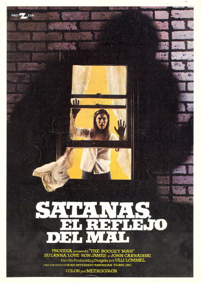 Póster de La otra cara del espejo