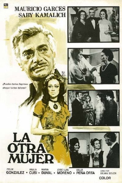 Póster de La otra mujer
