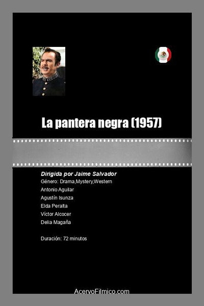 Póster de La pantera negra