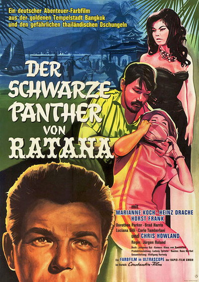 Póster de La pantera negra