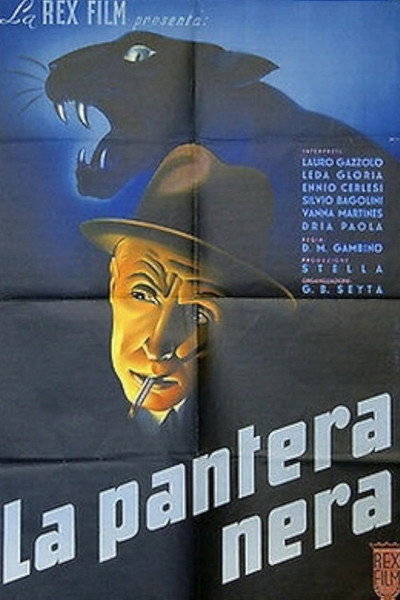 Póster de La pantera nera