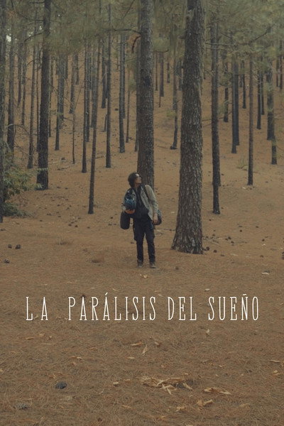 Póster de La Parálisis del Sueño