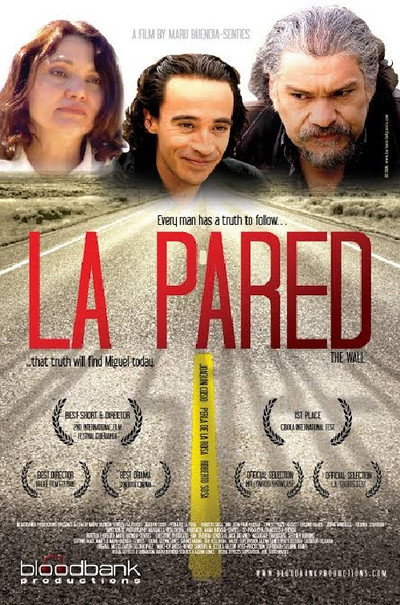 Póster de La pared