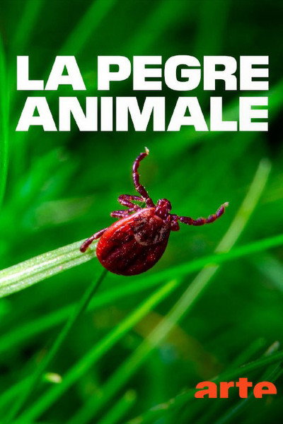 Póster de La Pègre animale