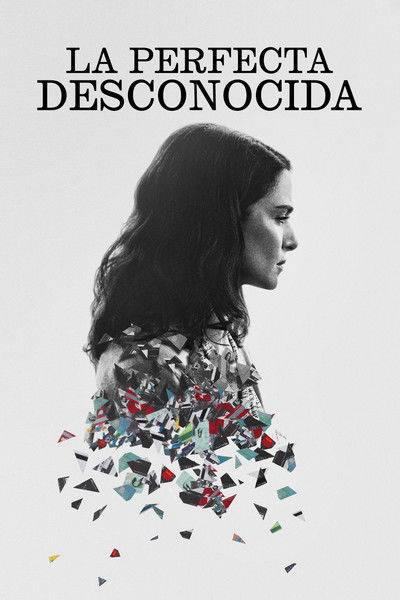 Póster de La perfecta desconocida