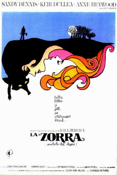 Póster de La piel del zorro