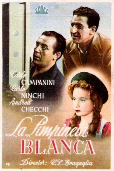 Póster de La pimpinela blanca