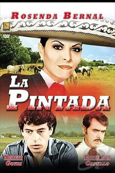 Póster de La pintada