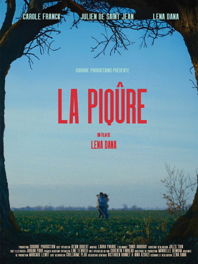 Póster de La piqûre