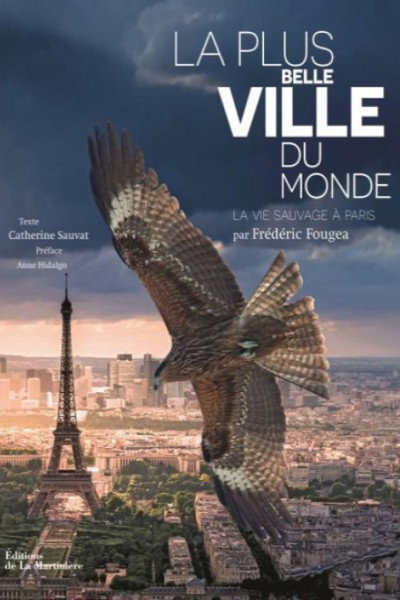 Póster de La plus belle ville du monde