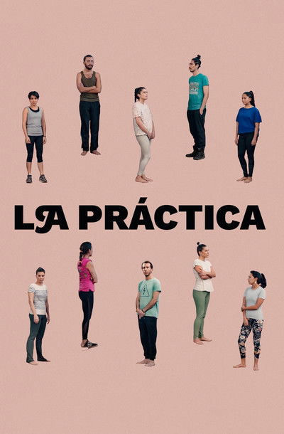 Póster de La práctica