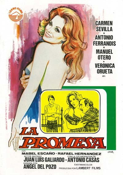 Póster de La promesa