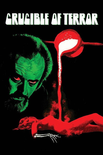 Póster de La prueba del terror
