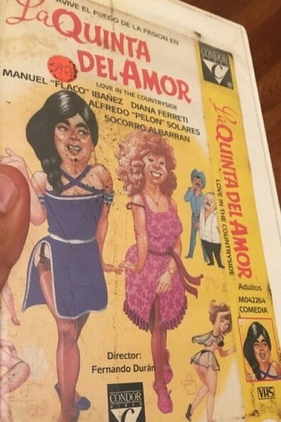 Póster de La quinta del amor