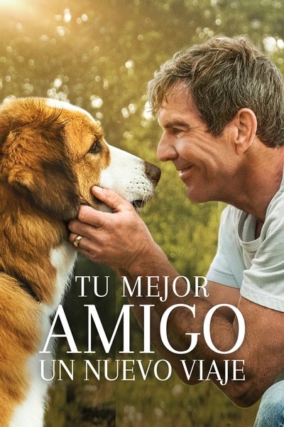 La razón de estar contigo: un nuevo viaje