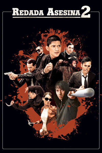 Póster de La redada 2