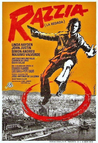 Póster de La redada